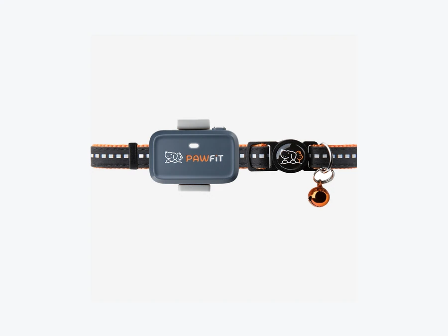 Pawfit Lite GPS-Tracker am Katzenhalsband