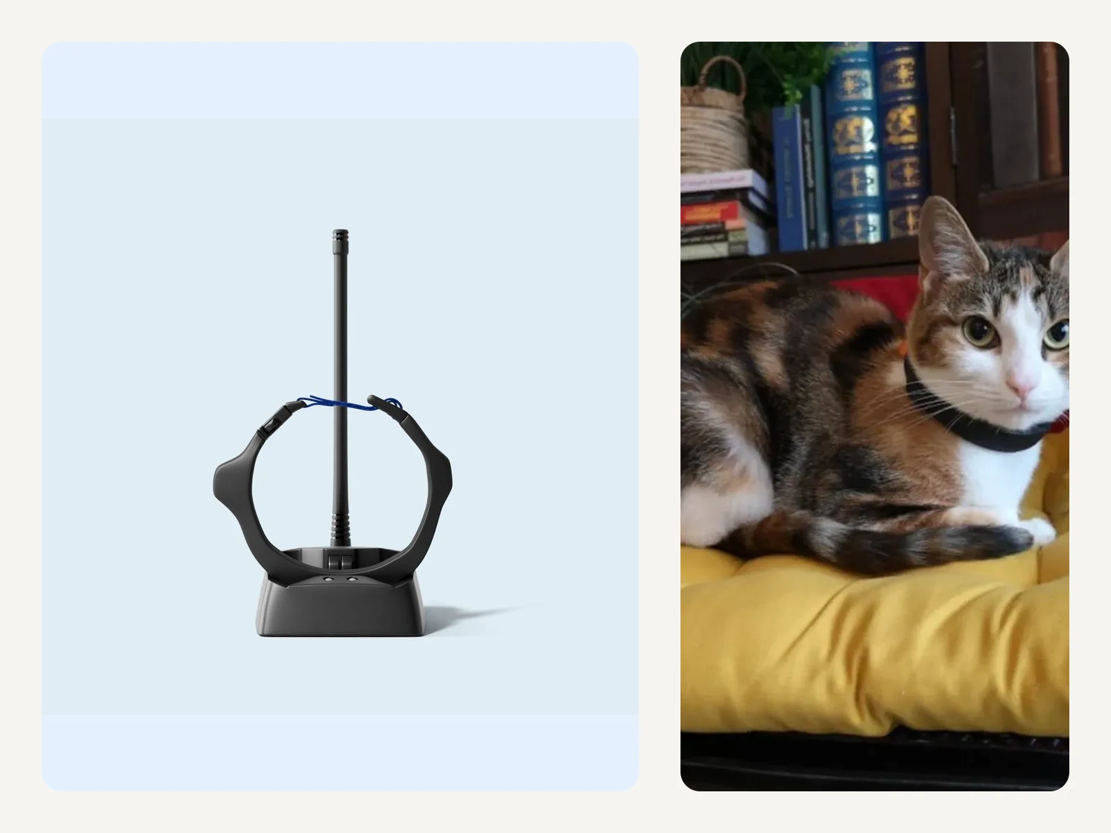 Originale petTracer HomeStation mit Halsband neben einer echten Katze im Zuhause