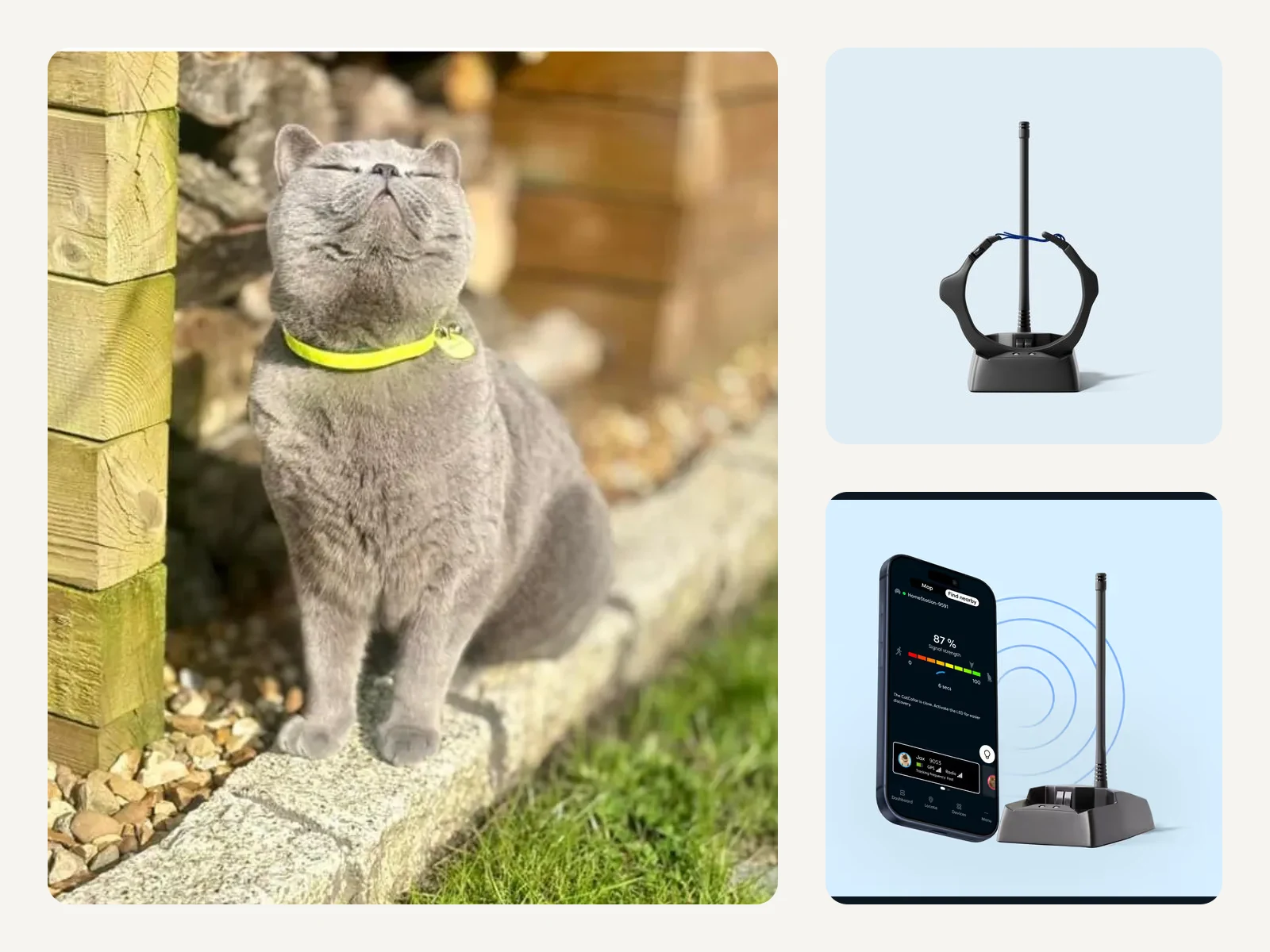 Echte Katze nahe einer Holzstruktur neben originaler petTracer HomeStation und Nahsuche-App